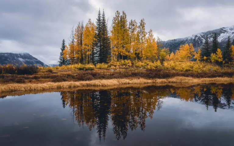 Colorado Photography Locations Colorado Photography Locations Autumnal aspen grove in gold and orange along a calm lake mountains in the background and a perfect reflection in the water