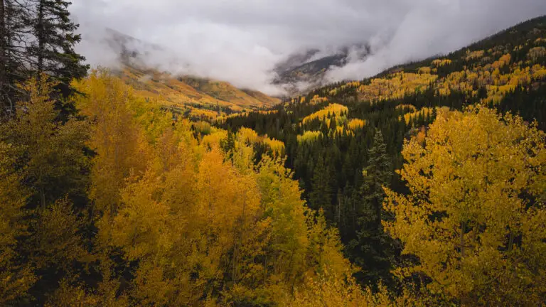 Colorado Photography Locations Colorado Photography Locations Panoramic autumn forest in the mountains with yellow leaves and low clouds in the valley